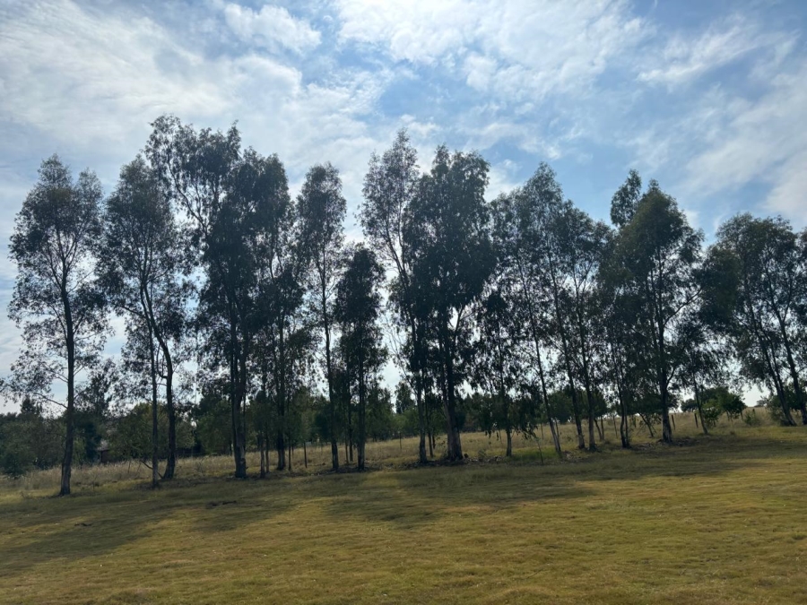 0 Bedroom Property for Sale in Oranjeville Free State